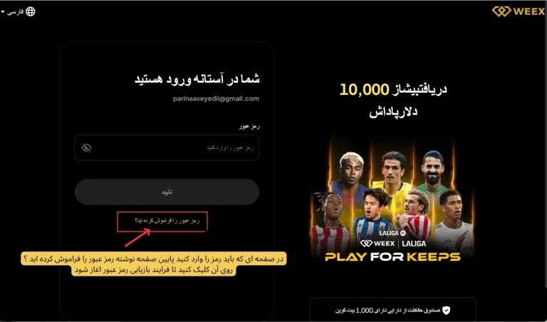 بازیابی رمز عبور WEEX